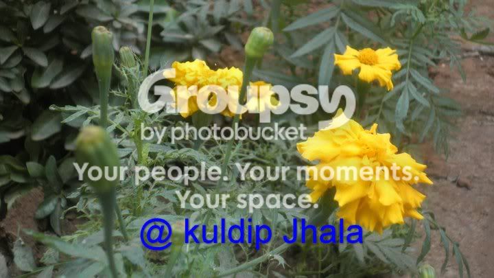 k.jpg