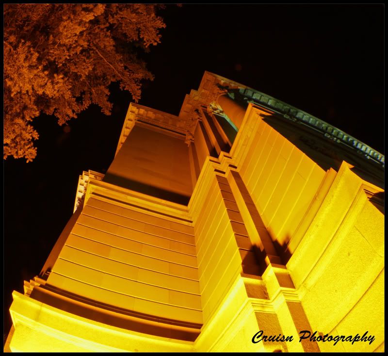 lookingup.jpg