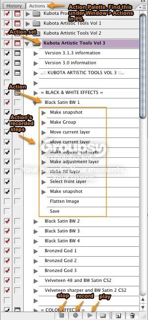 Photoshop-1.jpg
