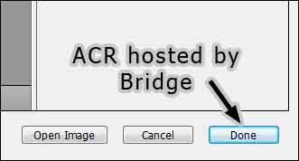 HostByBrdg.jpg