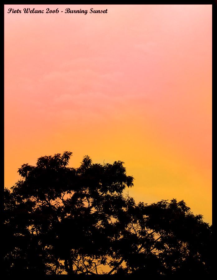 burningsunset.jpg