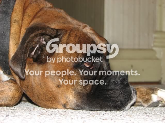 IMG_0441croppedLargeWebview.jpg