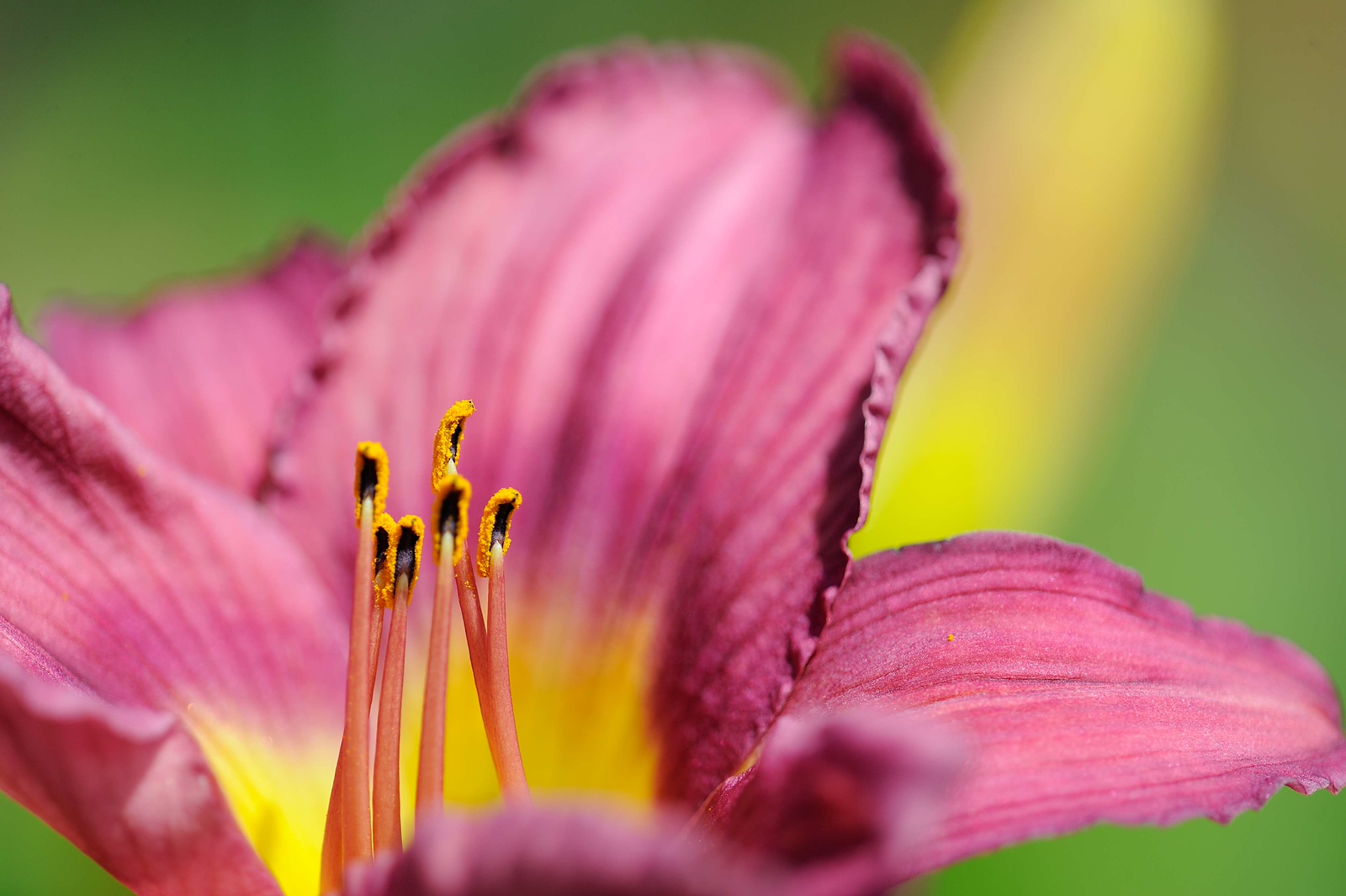 DSC_00032-X3.jpg