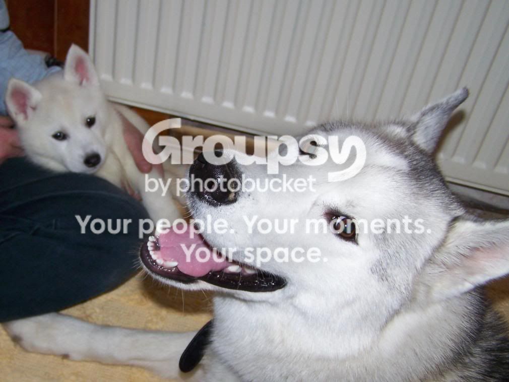 100_2719.jpg