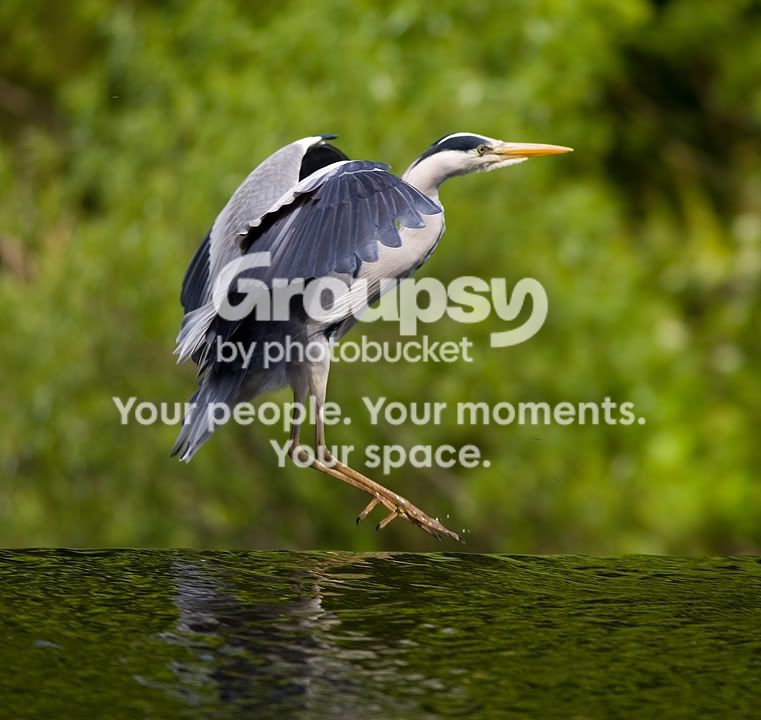 _H0X5240.jpg