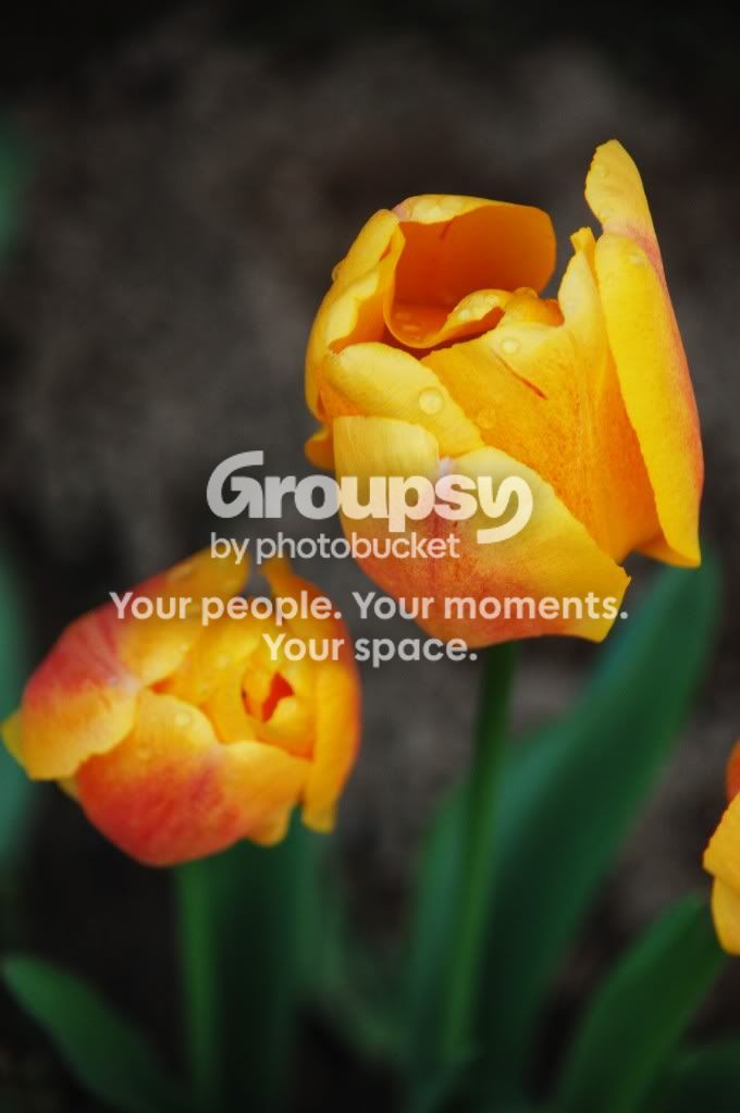 JessPics293.jpg