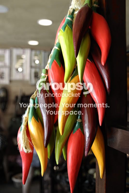 ColourfulplantSM.jpg