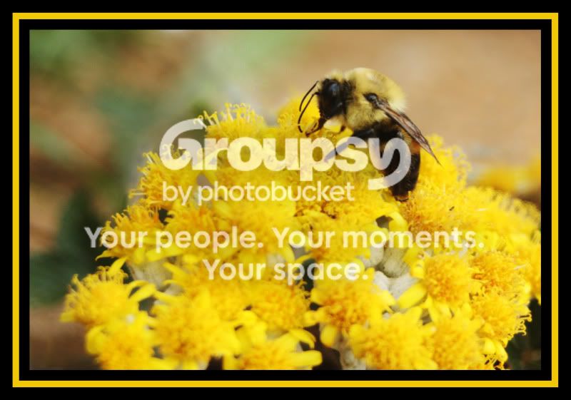 MeCrissyPhotography040.jpg