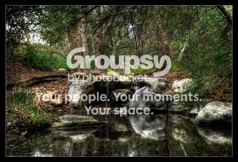 swampa.jpg