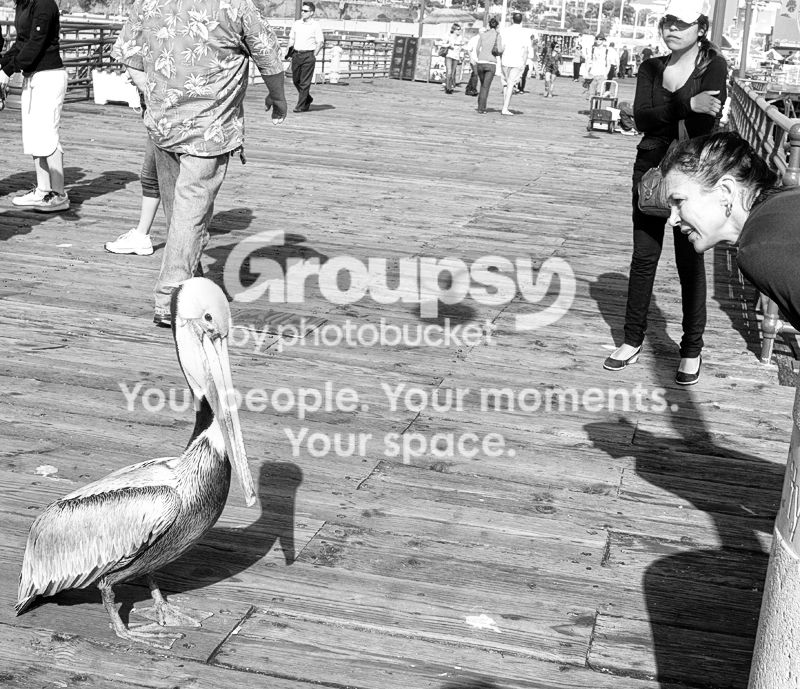 SantaMonica2121077.jpg