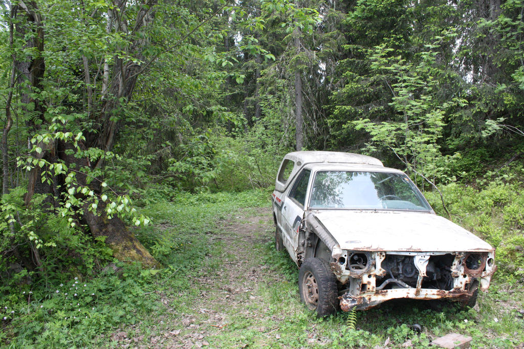 CAR_IS_BROKEN_IN_FOREST_by_NielsGade.jpg