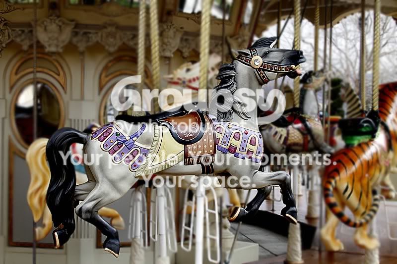go-around_108.jpg