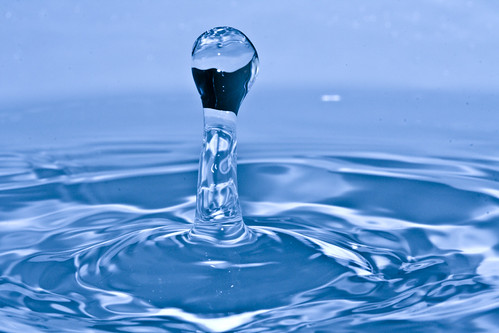 4322178947_68c96d8f91.jpg