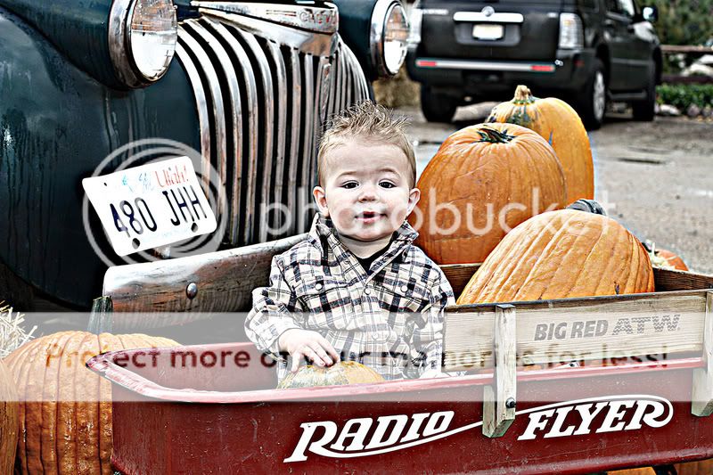 IMG_2895aweb.jpg