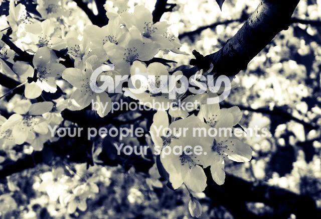 100_5369edited-1.jpg