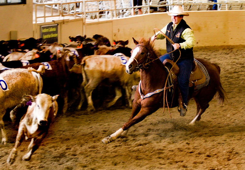 Penning%20-%204-L.jpg