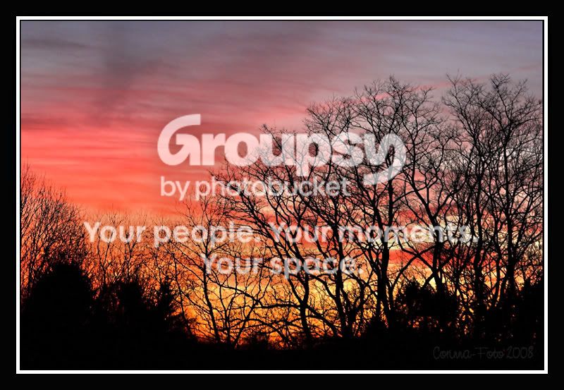 SilhouetteHintergrund_1.jpg