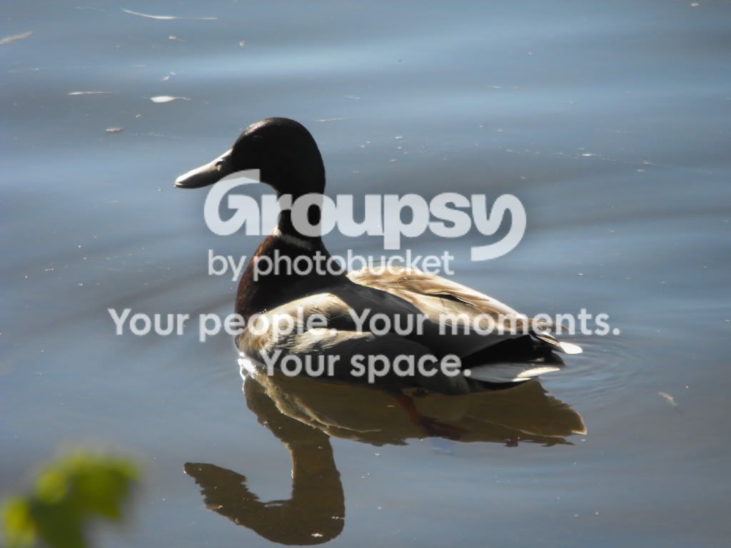 june122009457150.jpg