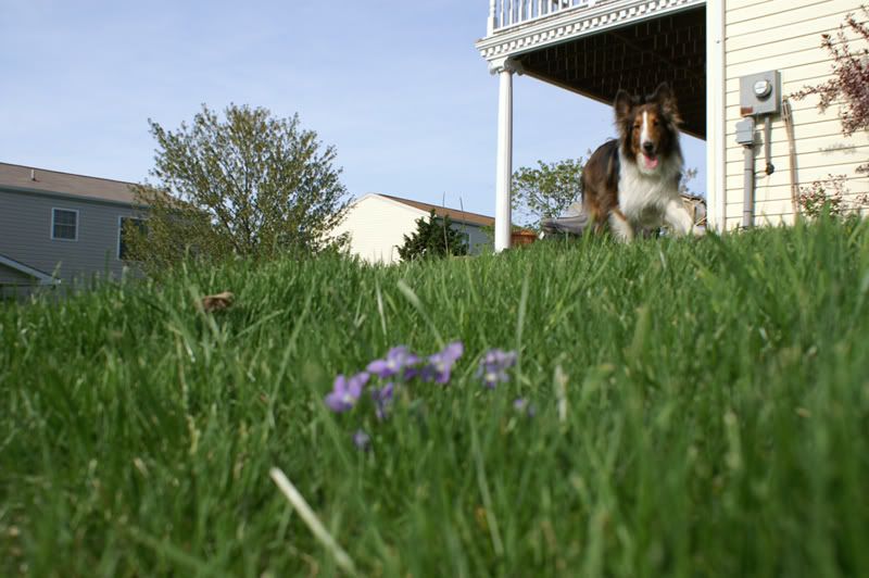 PICT0012.jpg