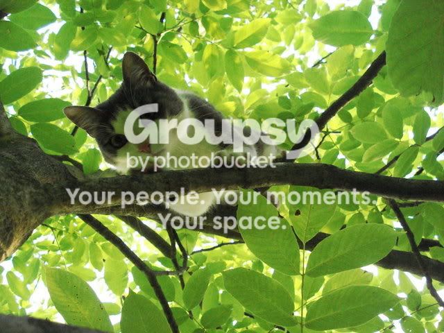DSC00241.jpg