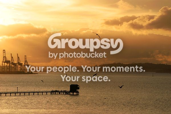 birdsun.jpg