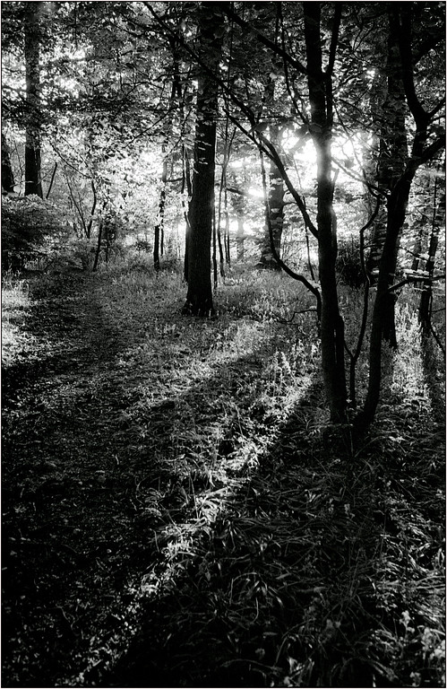 Scan-130611-0011-XL.jpg