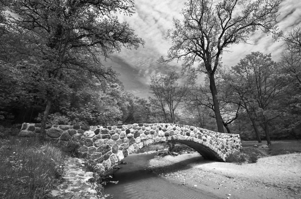 0bwchallenge_zps4ce1667d.jpg