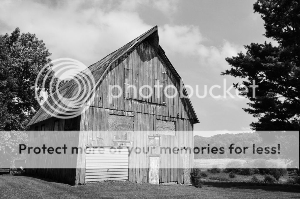 fe8b5be53199e9616f000299bb4afd6c.jpg