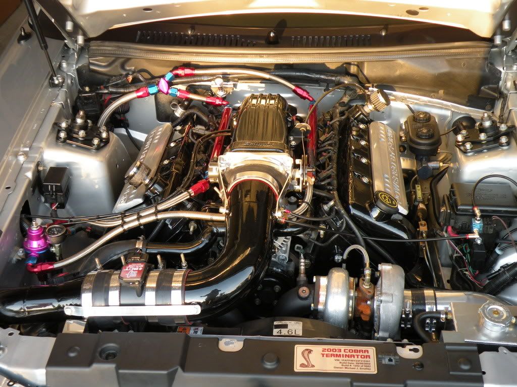 DSCN5427.jpg