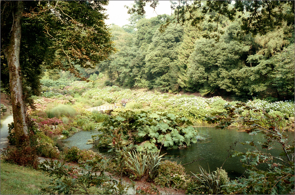 396-XL.jpg