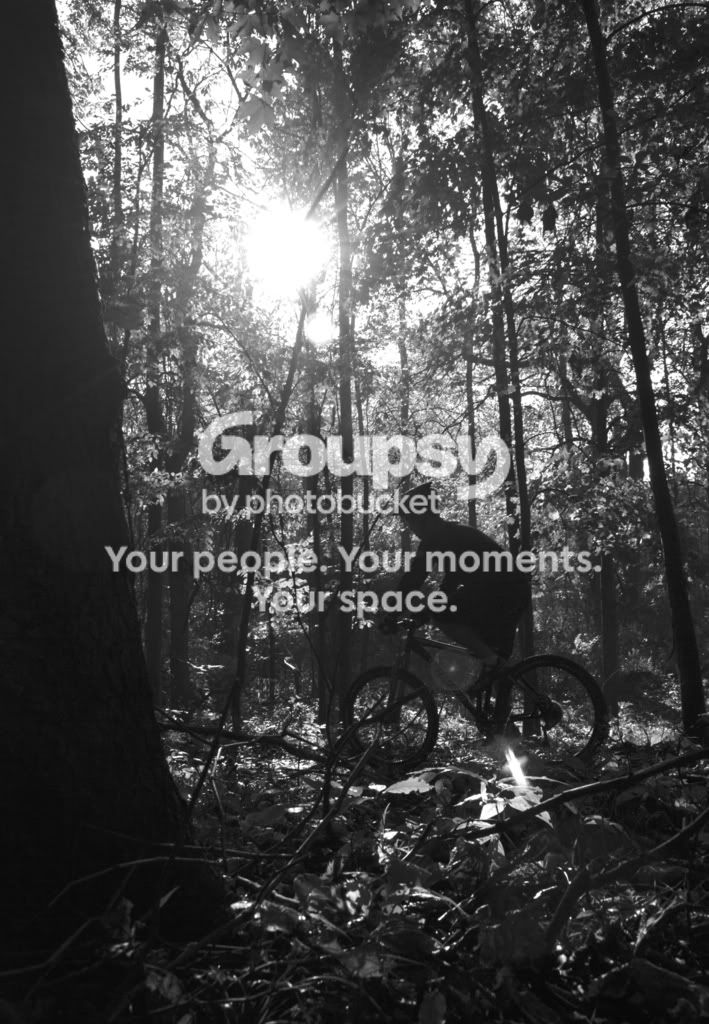 DSC_1683editbw.jpg