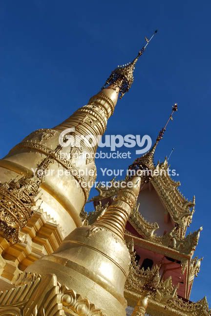 BURMESE4_DSC_0376.jpg
