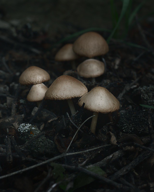 5768429061_a4d6ede012_b.jpg