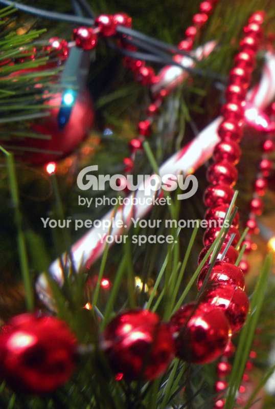 ChristmasLight.png