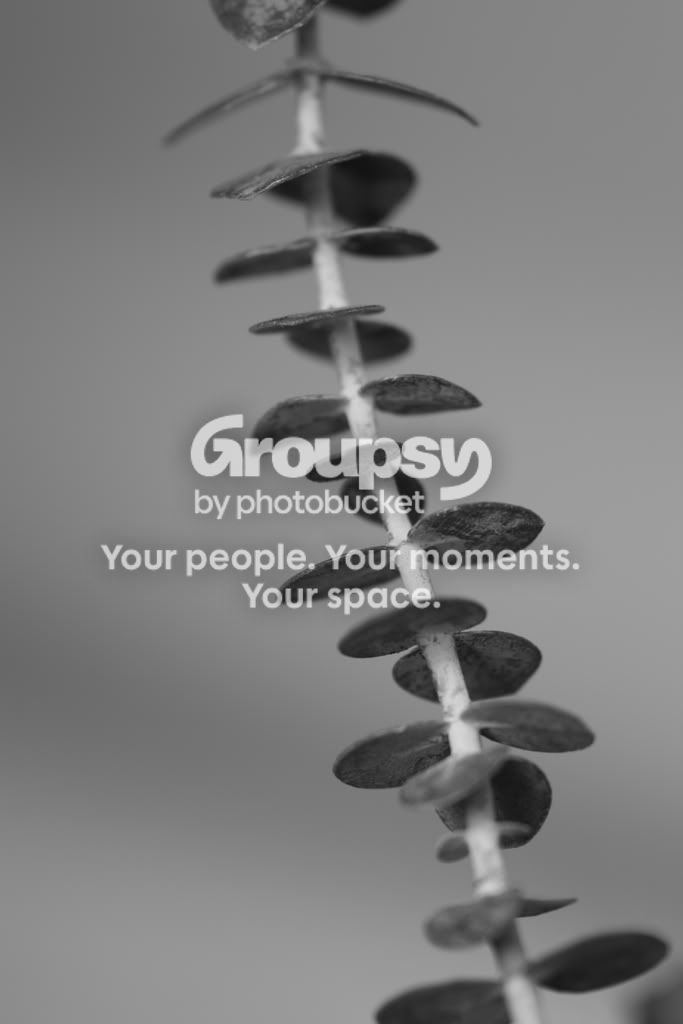 macro069.jpg