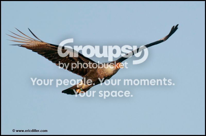 PIC_90722copy.jpg