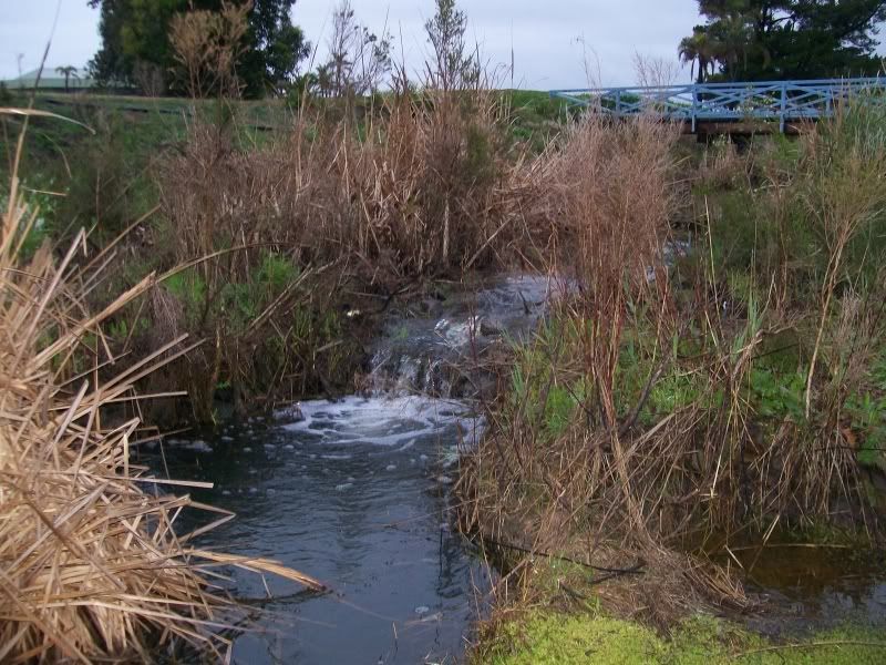 bridge_waterfall.jpg