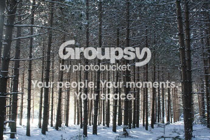 Snow5.jpg