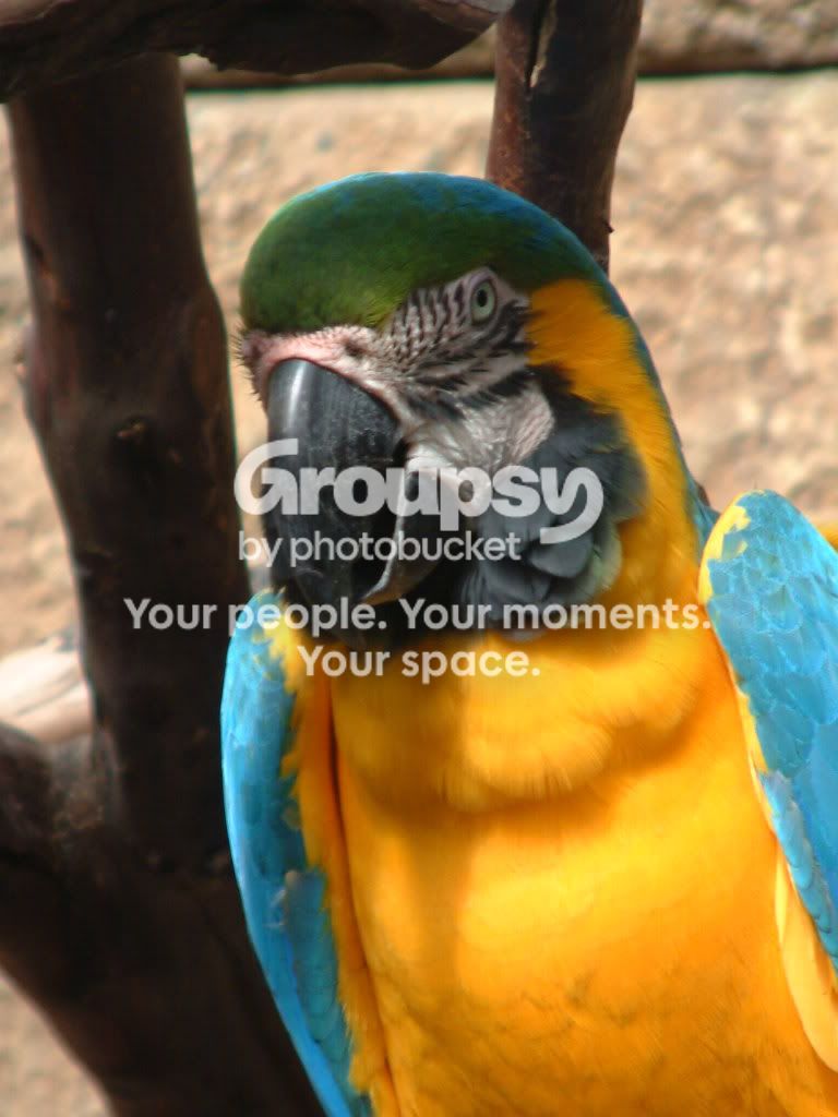 DSCF2754.jpg