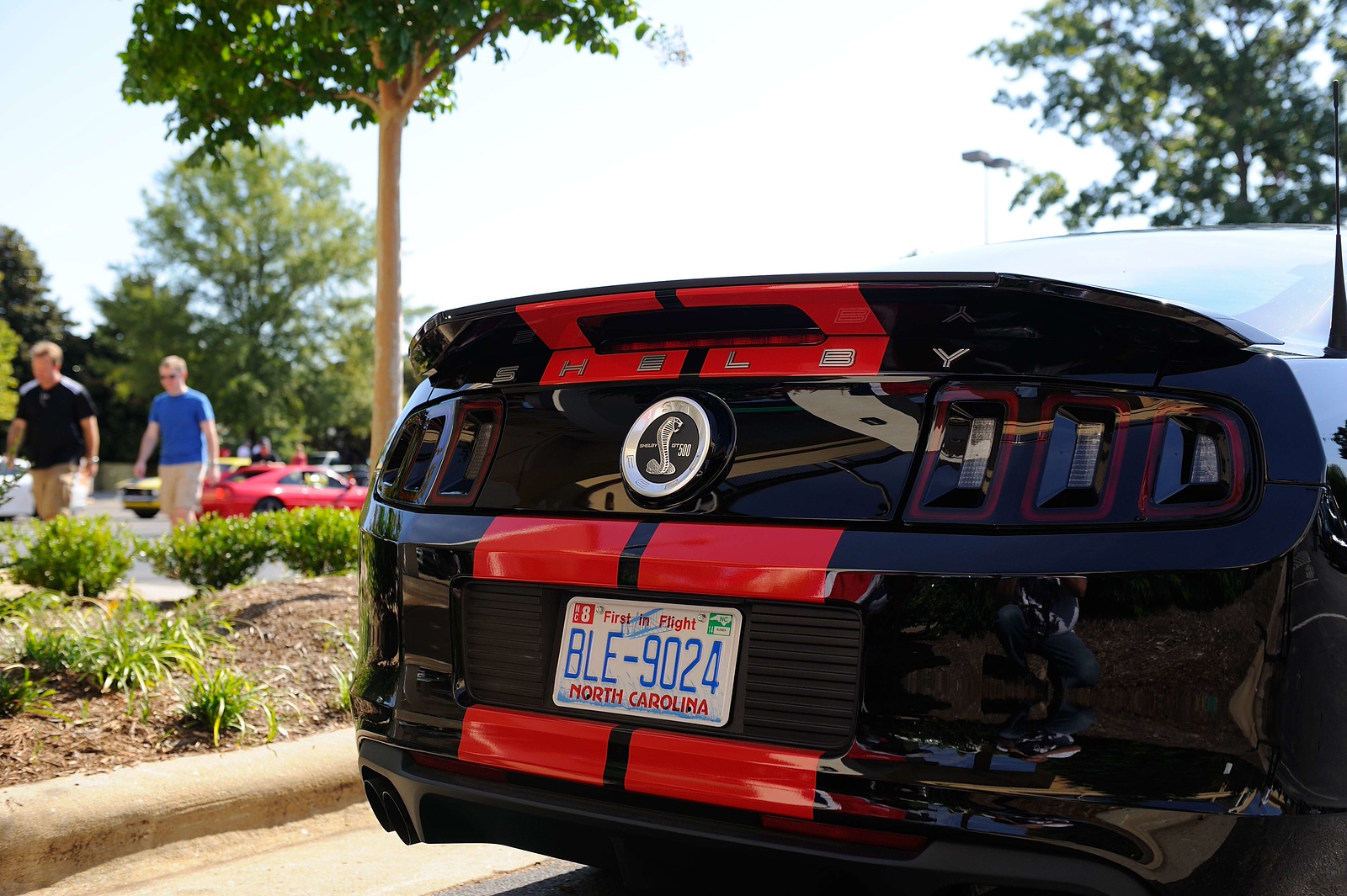 DSC_00272-X3.jpg