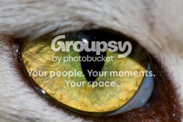 boomseye.jpg