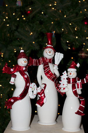 IMG7381-M.jpg