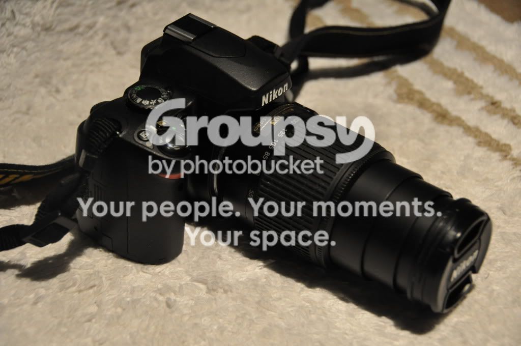 DSC_0029.jpg