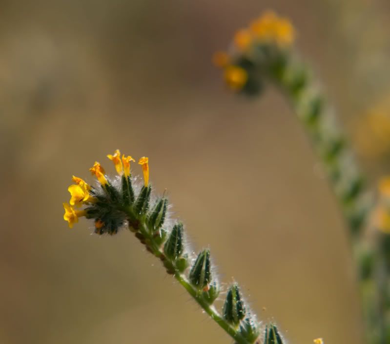 IMG_8931.jpg