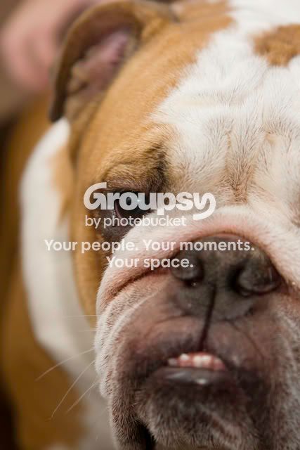 winstonoutside3.jpg