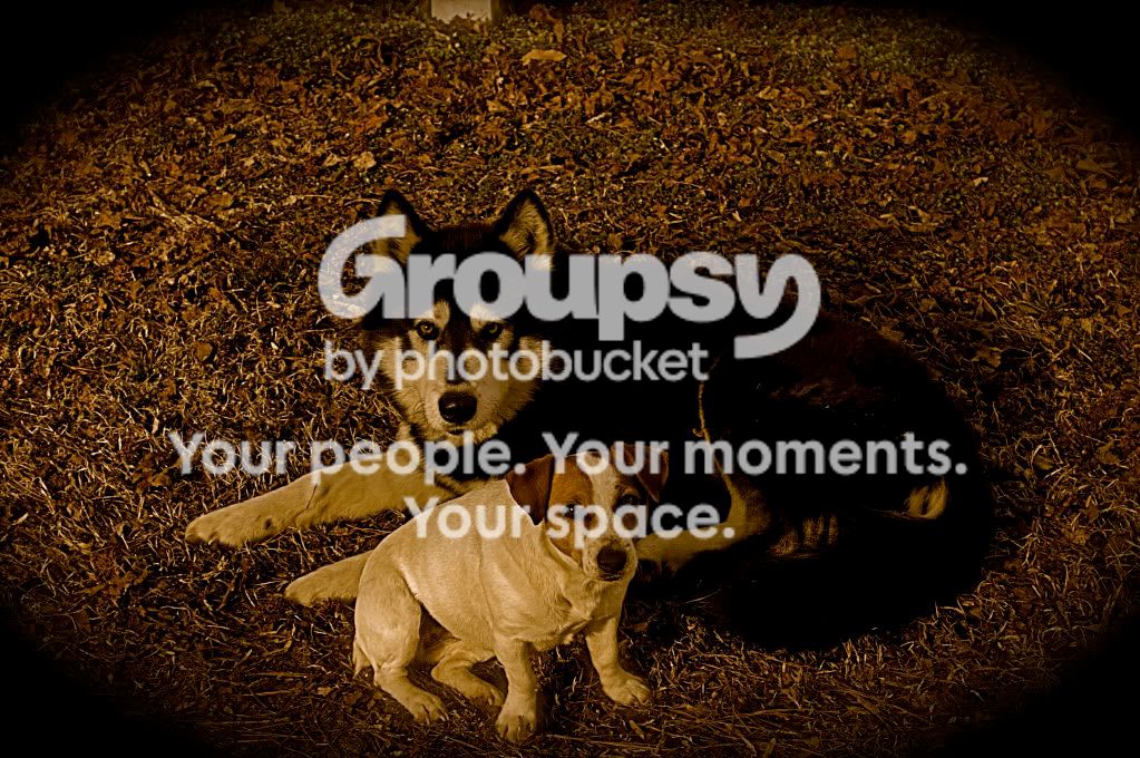 069copy.jpg