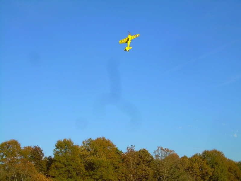 DSCN0061.jpg