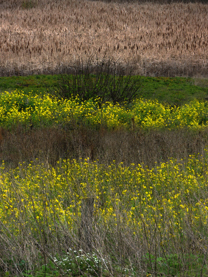 P1080808PS12x16.jpg