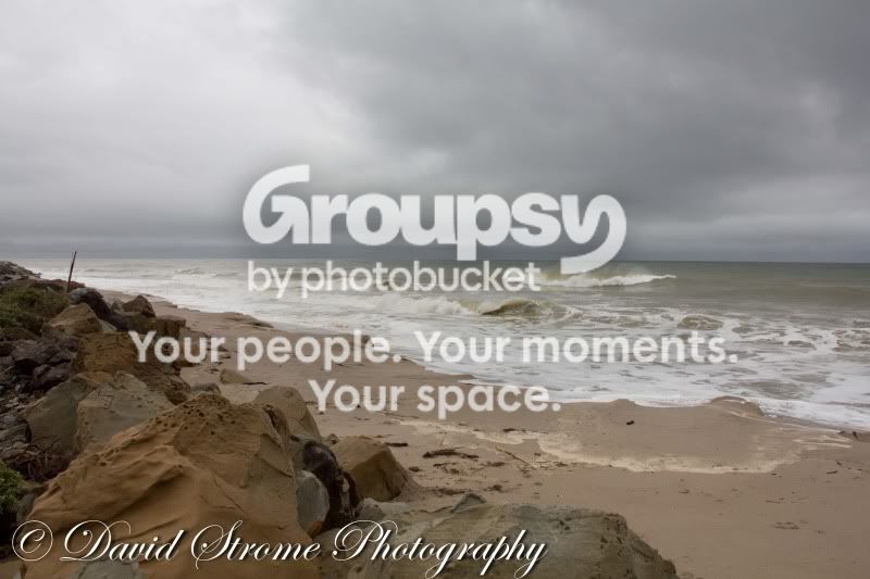 IMG_0489copy.jpg