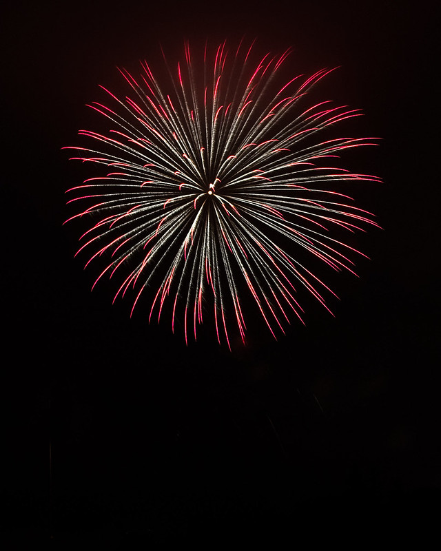 7506420656_258210a830_c.jpg